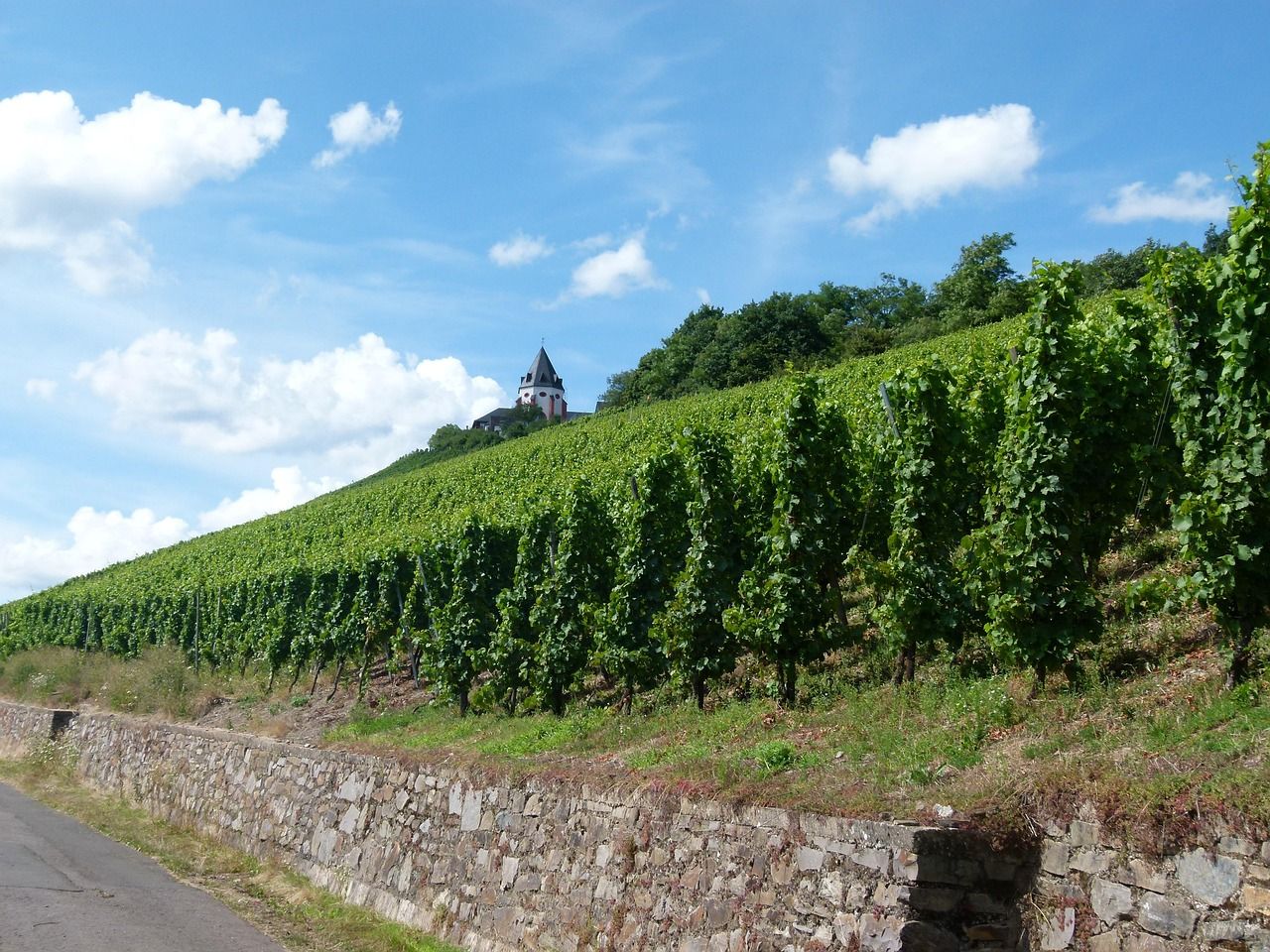 Deutschland Zell Mosel