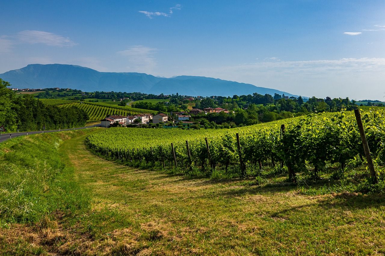 Italien Prosecco Huegel