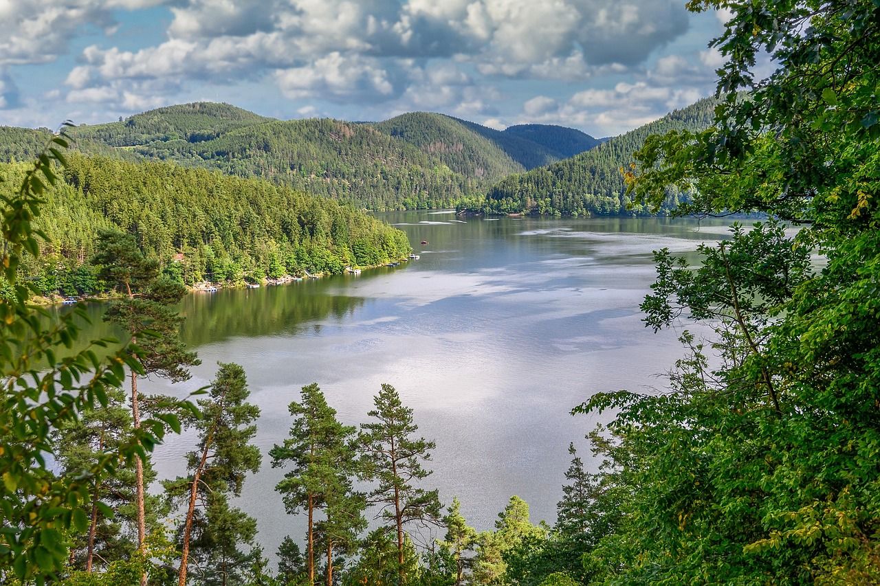 Deutschland Thueringer Wald